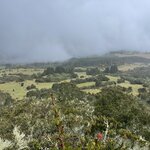 Photo taken by Amy F