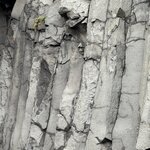 Photo taken by Sue F