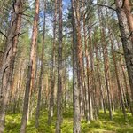 Photo taken by Becky L