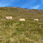 Photo taken by Eliza M