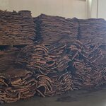 Photo taken by Laura R