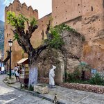 Photo taken by Kristen Y