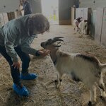 Photo taken by Mike D