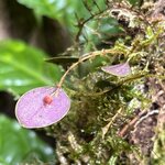 Photo taken by Chris G