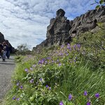 Photo taken by PETER S