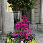 Photo taken by Sylvia S