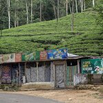 Photo taken by Randall C