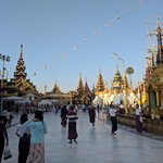 Photo taken by Stephen M