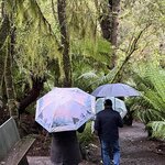 Photo taken by Rosemary S