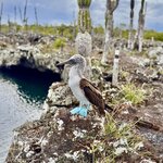 Photo taken by Ben S