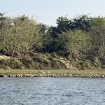 Photo taken by Marianne O