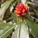 Photo taken by Ora Y