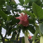 Photo taken by Anna L