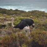 Photo taken by William R