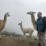 Photo taken by Schemilda A