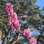 Photo taken by Kirti P