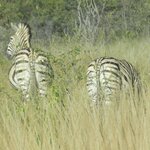 Photo taken by Linette B