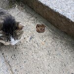 Photo taken by Jim B