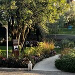 Photo taken by Martha D