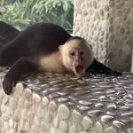 Photo taken by Karen P