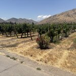 Photo taken by Rebecca E