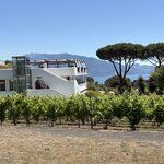 Photo taken by Judi S