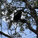 Photo taken by Michael L