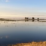 Photo taken by rhonda c