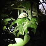 Photo taken by Ceinwen P