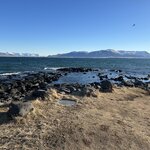 Photo taken by Andrew H