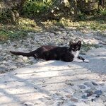 Photo taken by Amy C