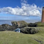 Photo taken by Sharon S