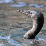 Photo taken by mindy n