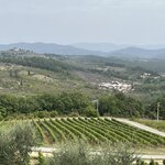 Photo taken by Michelle P