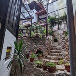 Photo taken by Ciarra N