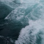 Photo taken by Mariellen S