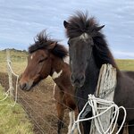 Photo taken by Debbie I