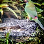 Photo taken by Elise C