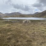 Photo taken by martin M