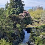 Photo taken by Mel T