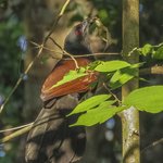 Photo taken by Graham D