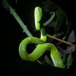 Photo taken by Sophia N