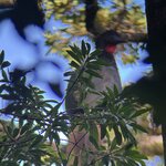 Photo taken by Aparna N