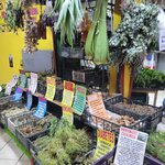 Photo taken by Darlene N