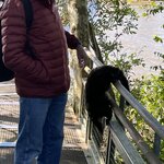 Photo taken by Graciela P