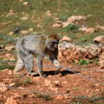 Photo taken by SARMA M