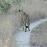 Photo taken by Linette B