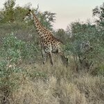 Photo taken by Tom B