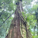 Photo taken by Cindy R