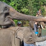 Photo taken by Matteo R